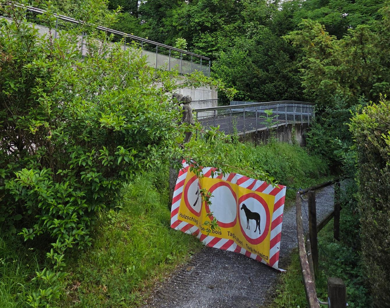Gefahr im Dorfbachtobel in Meilen header image 2