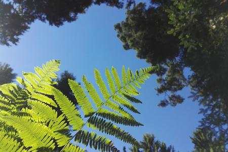 Haslibach, Uetikon a. S. preview image